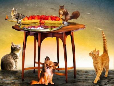 Cani e gatti invitati al banchetto di&nbsp;Natale?
