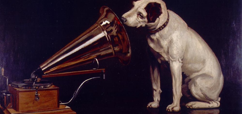 Musica rilassante per cani: quali sono i&nbsp;benefici?