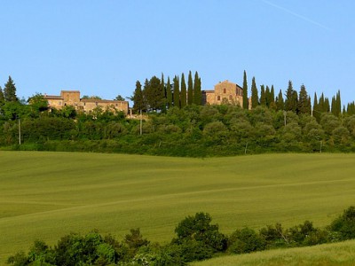 Mese a 4 zampe: a maggio tutti in agriturismo con i propri cani e&nbsp;gatti