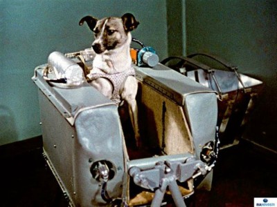 Sessant’anni fa Laika fu lanciata nello&nbsp;spazio