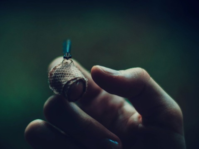 Lucciole a Milano: al Parco delle Cave per ammirare uno spettacolo di&nbsp;luci