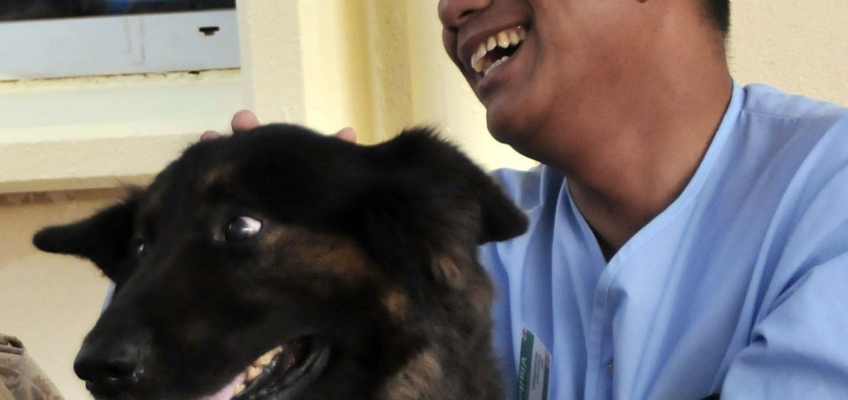 Pet-therapy: programmi terapeutici con gli&nbsp;animali