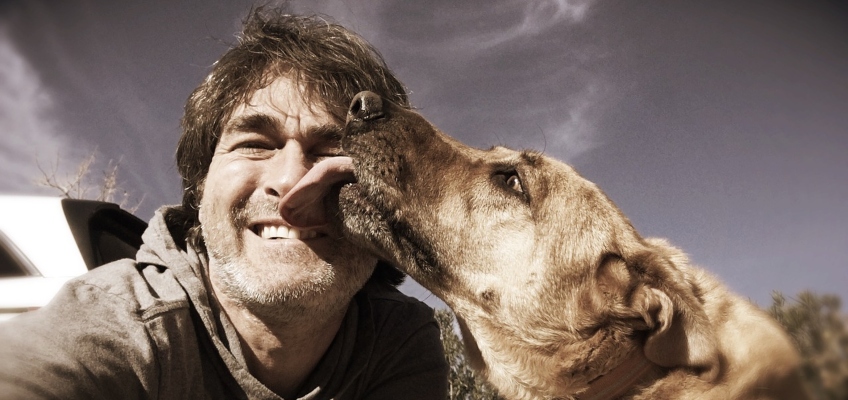 Perchè i cani leccano? Scopriamone il&nbsp;significato