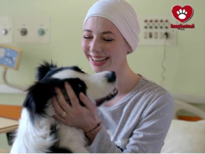 In Lombardia gli animali possono far visita ai propri cari in&nbsp;ospedale