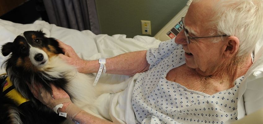 Pet therapy nel reparto di rianimazione: progetto unico in&nbsp;Italia