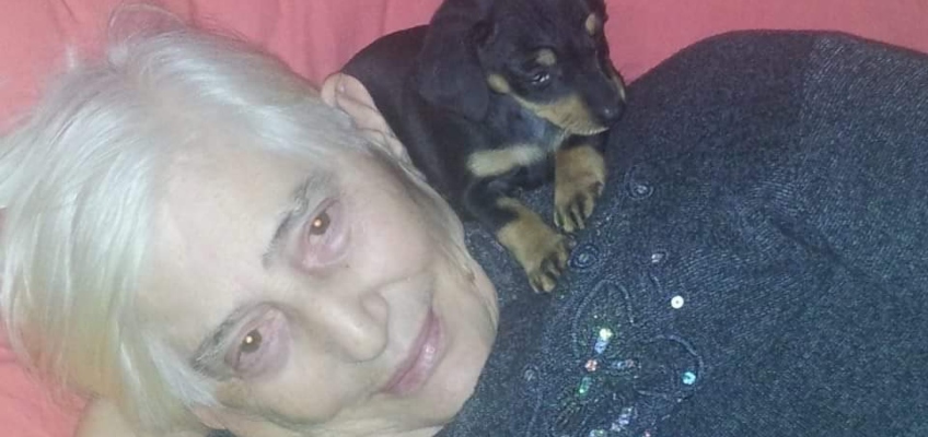 Animali domestici e anziani: meno solitudine e più&nbsp;salute