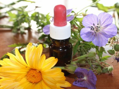 Medicina naturale sugli animali: come e perchè&nbsp;utilizzarla