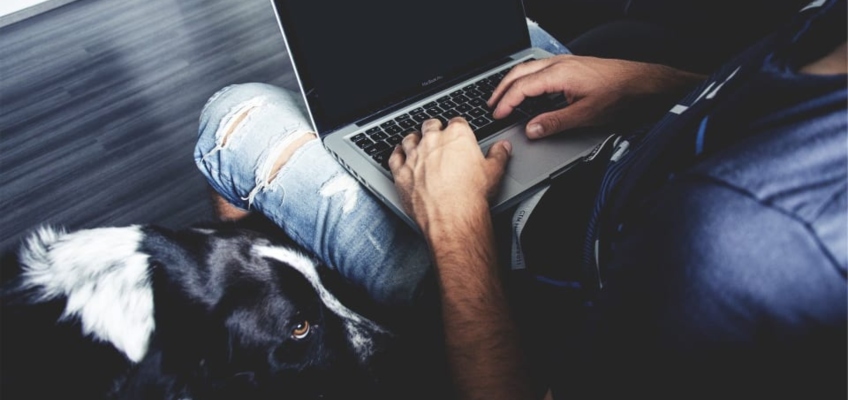 Black friday 2018: acquisti per i nostri&nbsp;animali