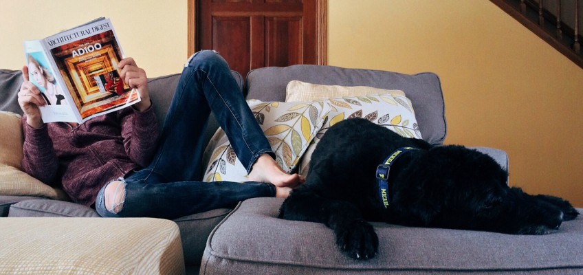 Cosa fare in casa col cane quando&nbsp;piove