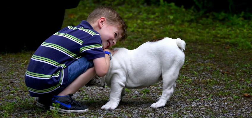 Bimbi e amici a quattro zampe: guida per i&nbsp;genitori