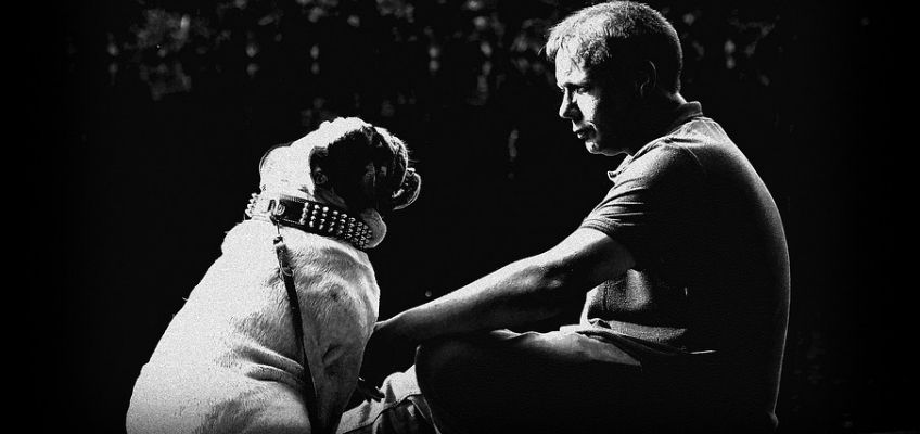 Cosa vogliono comunicarci i nostri cani e&nbsp;gatti?