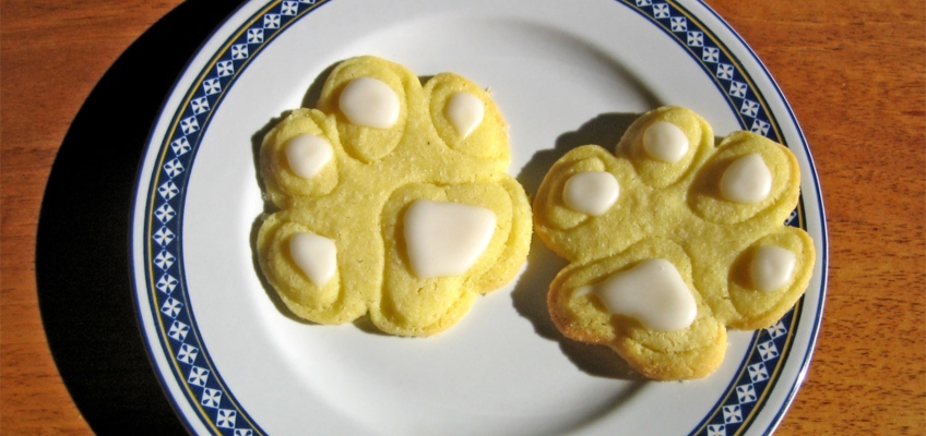 Biscotti per cani fatti in casa: alcune indicazioni&nbsp;utili