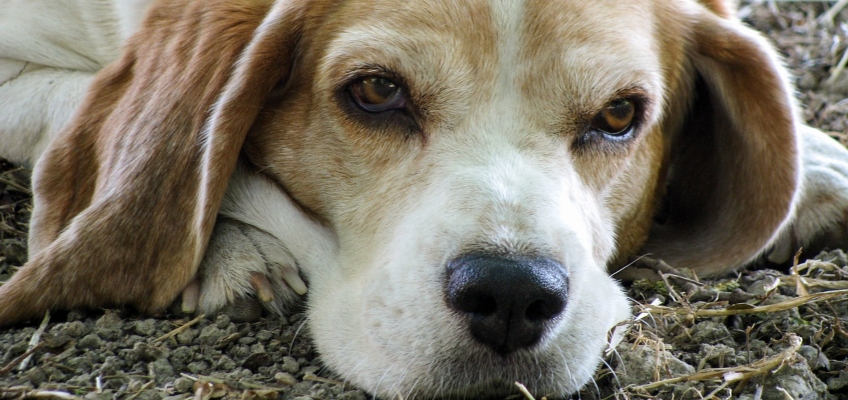 Dolori articolari: sintomi e terapia (anche&nbsp;naturale)